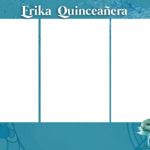 frika quinceañera copia