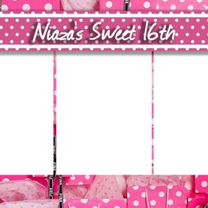 niaza copia niaza copia